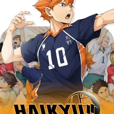 Haikyu!! FLY HIGH